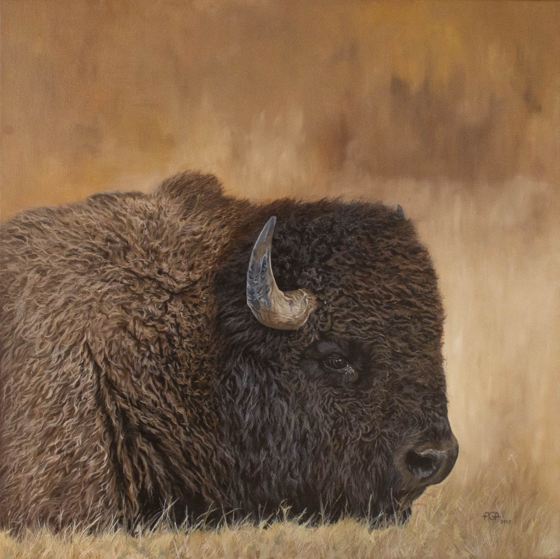 Meanwhile in Lamar Valley